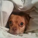 Peggy Spaulding - @peggy.spaulding.75 - Instagram