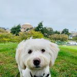 Peggy Spellman Jacobs - @spellpeg - Instagram