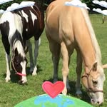 Peggy Bowden Spence - @peggyjean73 - Instagram