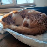 Peggy Sperling - @oceanborn666 - Instagram