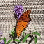 Peggy E. Spivey - @peggy.e.spivey - Instagram