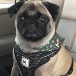Peggy Spivey - @pegspie - Instagram