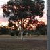 Margaret Squires - Facebook