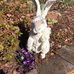 Peggy Gibson Squires - Facebook