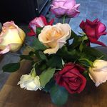 Peggy Squires - @pasquires.5 - Instagram