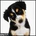 Peggy Squires - Facebook