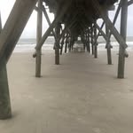 Peggy Stack - @shauna_paws - Instagram