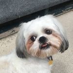 Peggy Starr - @peggsterstarr - Instagram