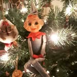 Peggy Steelman - @mimi.p.hb - Instagram