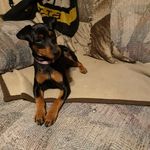 Peggy Steigerwalt - @peggysteigerwalt - Instagram