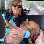 Peggy Stirling - @pstirling - Instagram