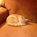 Peggy Stone - Facebook