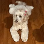 Peggy Storms - @stormspeggy - Instagram