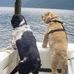 Peggy Stratton - Facebook