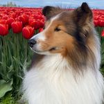 Peggy Strauss - @strausspeg - Instagram