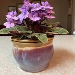 Peggy H Streeter-Denning - @streeterdenning - Instagram