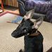 Peggy Steward Strong - Facebook