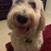 Peggy Stuart - Facebook