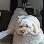 Peggy Sutherland - @peggy.sutherland.10 - Instagram