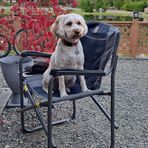 Peggy Sutherland - Facebook