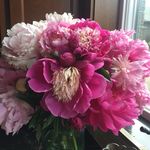 Peggy Swanson - @peggy.swanson.31 - Instagram