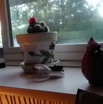 Peggy Swift - Facebook