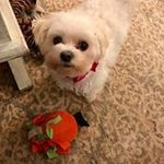 Peggy Tate - @peggytate21740 - Instagram
