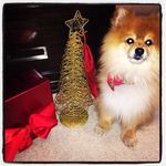 Peggy Tate - @peggytate347 - Instagram
