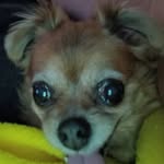 Peggy Teel - @teel0724 - Instagram