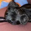 Peggy - @peggythepatterdale - TikTok