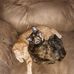 Peggy Thayer - Facebook