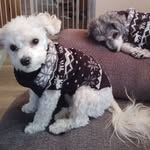 Peggy Thayer - @thayerpeggy - Instagram