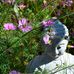 Margaret Thurman - Facebook