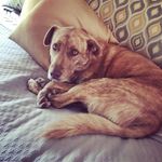 Peggy Todd - @peggytodd - Instagram