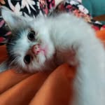 Peggy Tomlanovich - @peggytomlanovich - Instagram