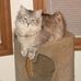 Peggy Totten Strutz - Facebook