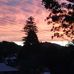 Margaret Tripp - Facebook