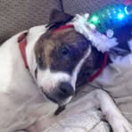 Peggy Trout - Facebook