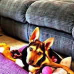 Peggy Trout - Facebook