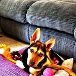 Peggy Trout - @diyadek408 - Instagram