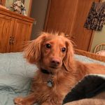 Peggy trudeau - @met629 - Instagram