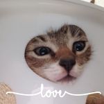 Peggy Trudell - @sweetipegs - Instagram