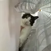 violapeggy - @violapeggy - TikTok