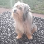 Peggy - @peggy_voss229 - Instagram