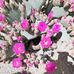 Peggy Vought - Facebook