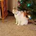 Margaret Wald - Facebook