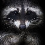 Peggy Wall - @peggy.wall.1694 - Instagram