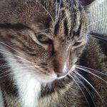Peggy Wall - @zueylu1 - Instagram