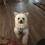 Peggy Wallace - @peggy.wallace2 - Instagram