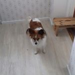 Peggy Wallin - @peggy.wallin.7 - Instagram